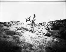 Load image into Gallery viewer, Boy in Desert, Joshua Tree