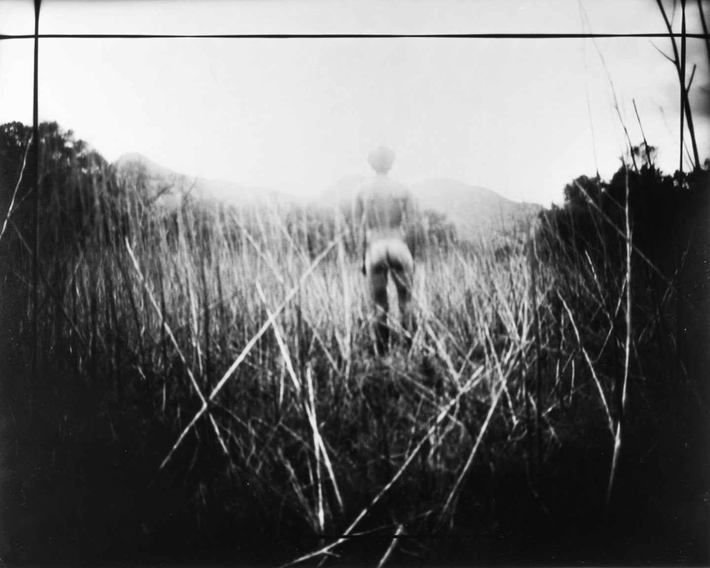 Boy in Grass