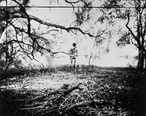 Boy in Forest