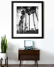 Load image into Gallery viewer, California Palm Trees