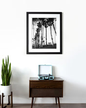 Load image into Gallery viewer, California Palm Trees