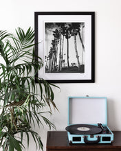 Load image into Gallery viewer, California Palm Trees