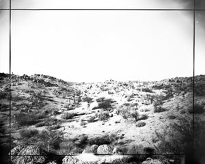 Desert Nude, Joshua Tree