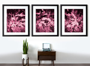 Lush Triptych - Pink