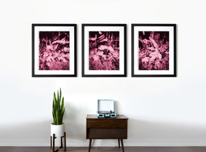 Lush Triptych - Pink