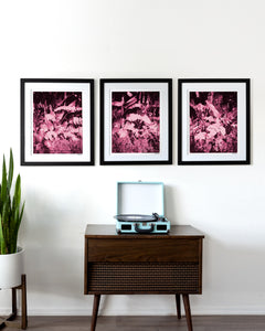 Lush Triptych - Pink