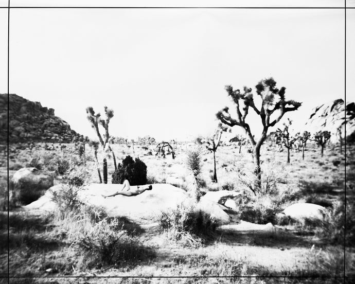 Nude Nap, Joshua Tree