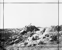 Load image into Gallery viewer, Nude Sunbather, Joshua Tree