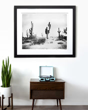 Load image into Gallery viewer, Sonoran Desert